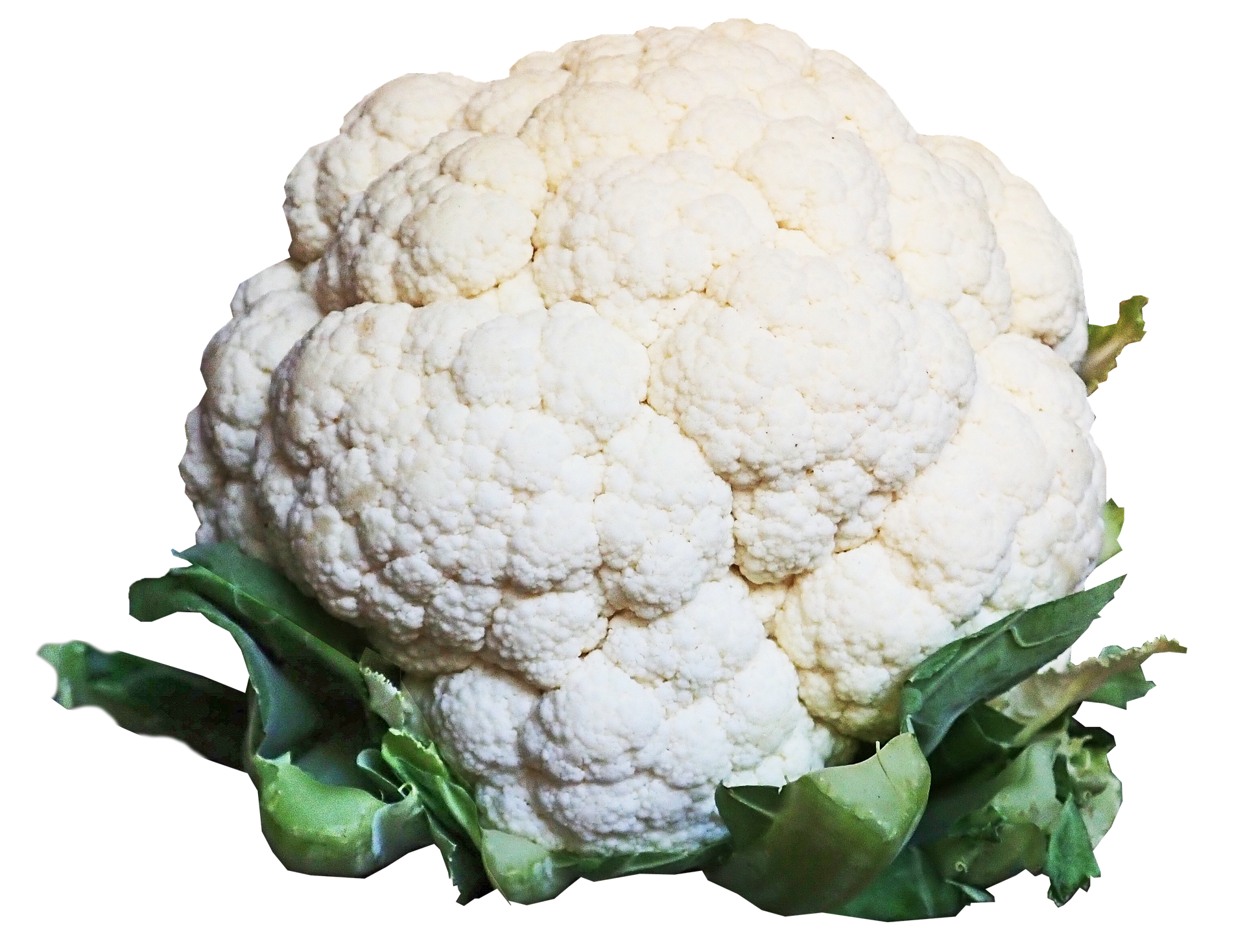 Snowball Self-Blanching Cauliflower