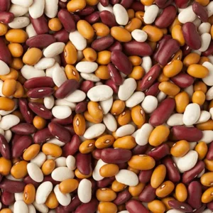 Misc Beans
