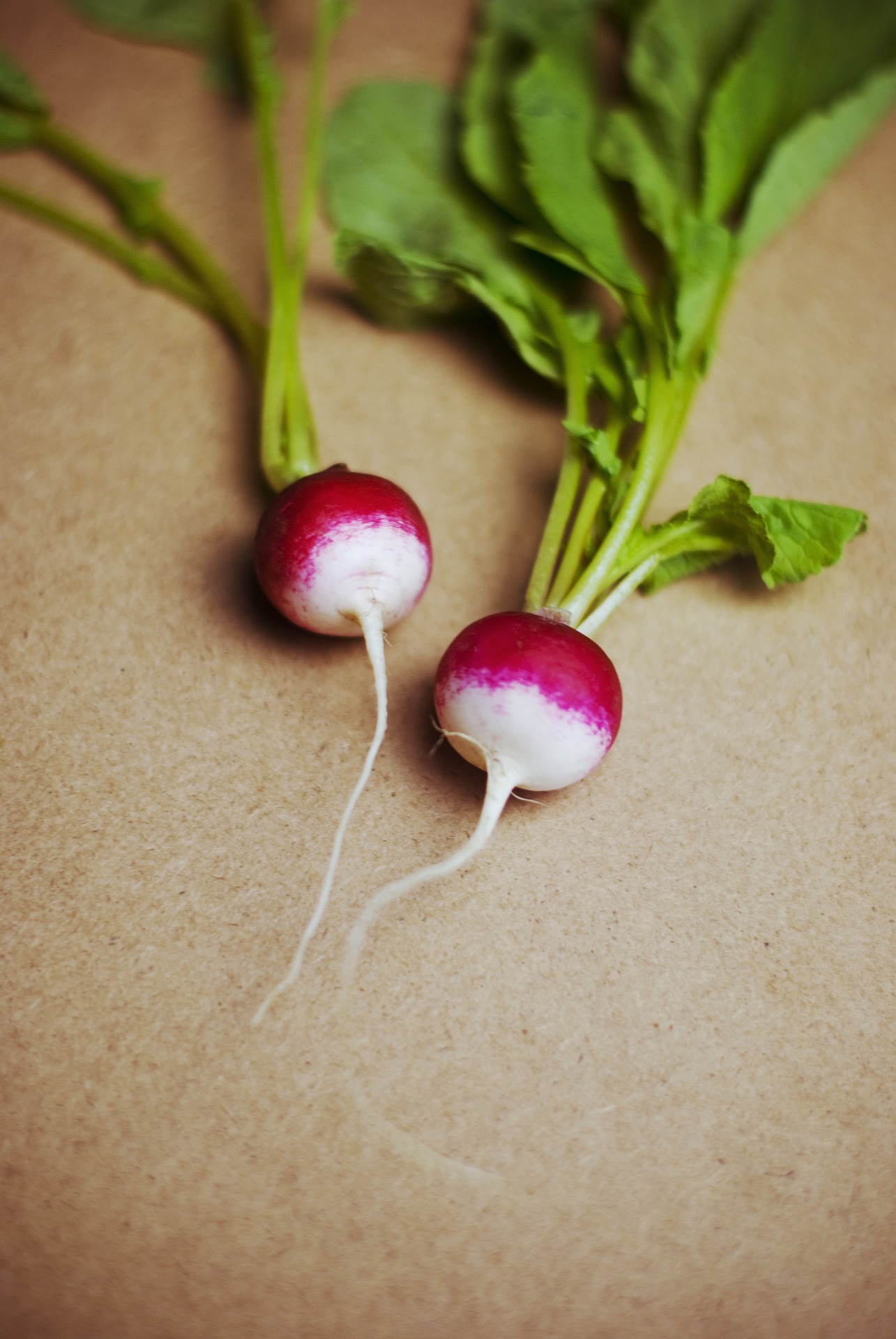 Sparkler Radish