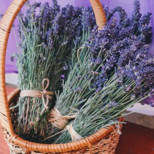Lavender Herb
