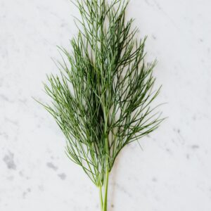 Dill Bouquet Herb