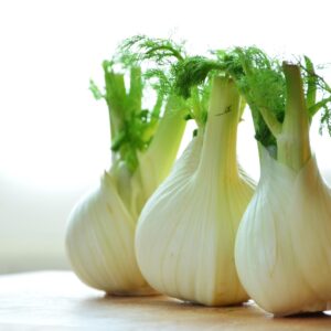 Florence Fennel Herb
