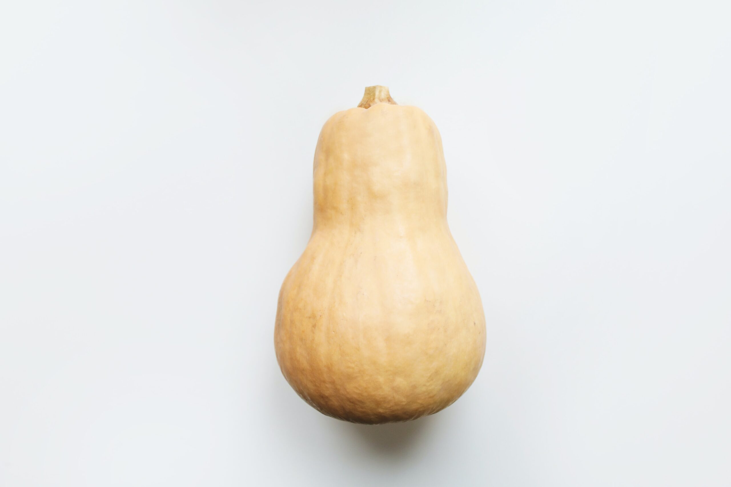 Winter Squash Waltham Butternut