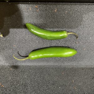 Serrano Pepper