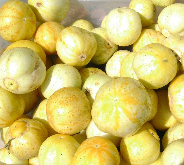 Lemon Cucumber