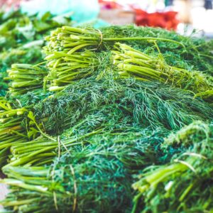 Dill - Dukat Herb