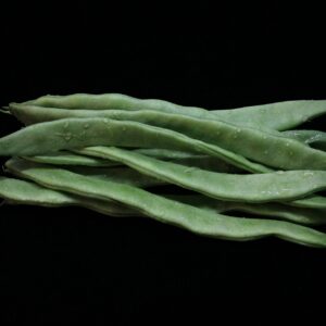 Roma II Bush Green Beans