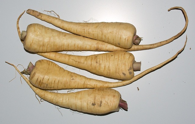 All American Parsnip