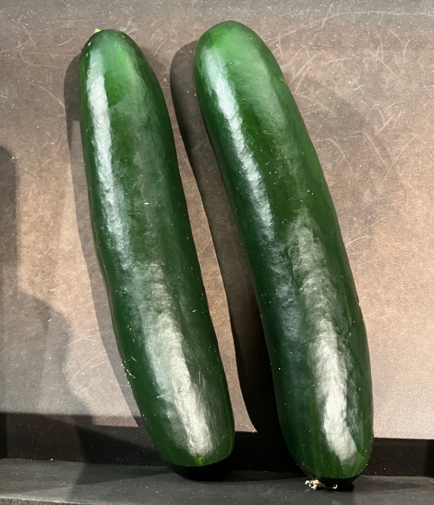 Tendergreen Burpless Cucumber