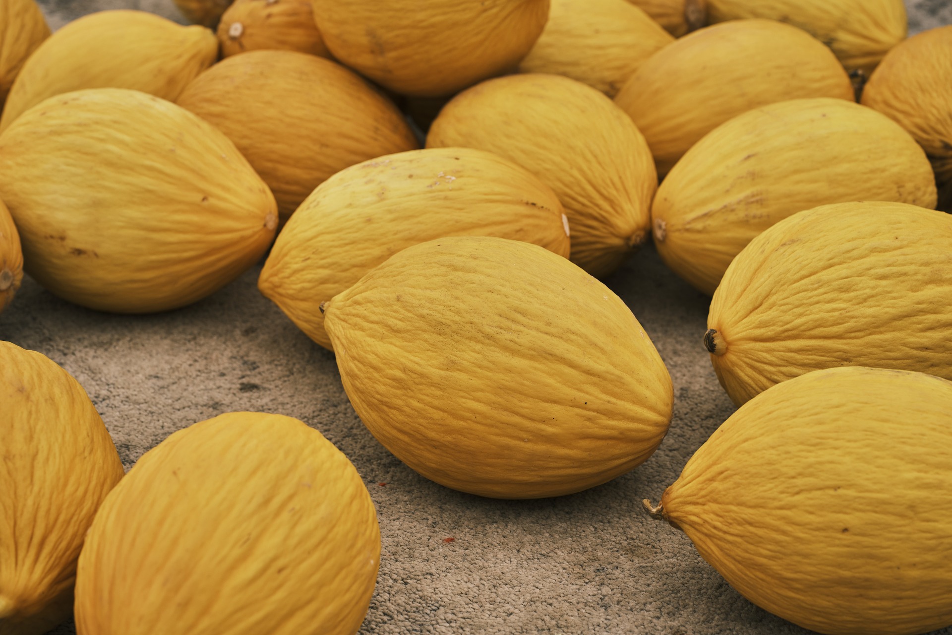 Crenshaw Melon