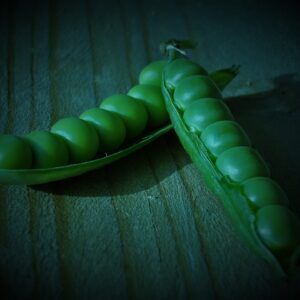Alaska Garden/English Peas