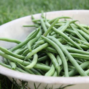 Juanita Smith Pole Green Beans