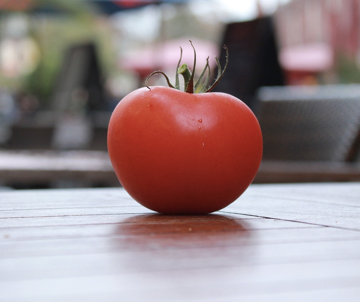 Nepal Tomato